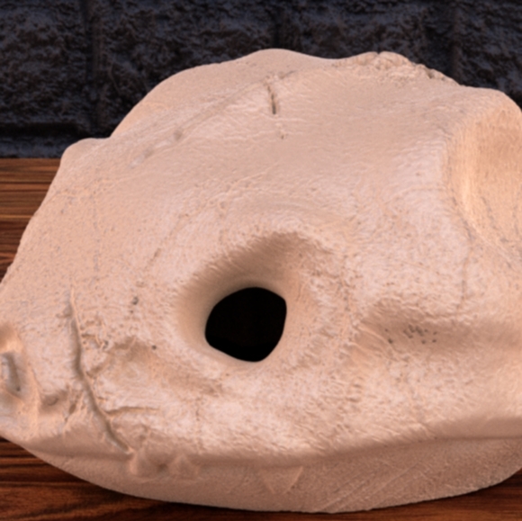 Pokemon skulls - Picture 5 of 7